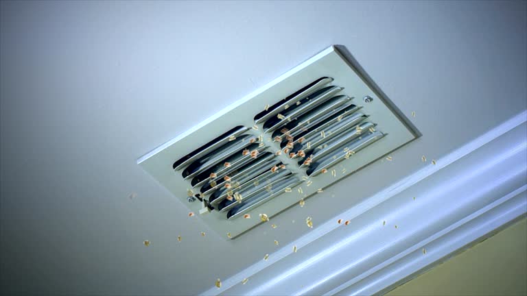 Best Home Air Vent Cleaning  in Homestead, PA